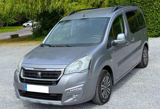 Peugeot Tepee 1.6 BlueHDi 1ier Main EURO 6 Prêt à i ...