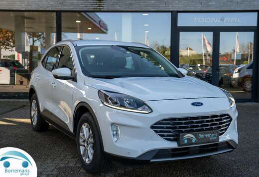 Ford 2.5 TITANIUM HYBRIDE 190 PK CARPLAY/CAMERA/BLU.. ...