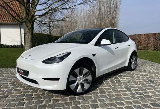 Tesla 235KW-320pk/1eignr/47300km/360cam/Pano/Leder...