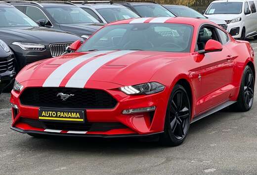 Ford 2.3 ECOBOOST 290CV LPG GT CUIR GPS XENON