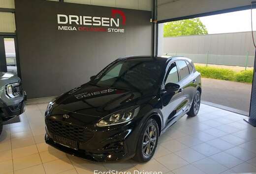 Ford St line 1.5i 150pk   BIJ DRIESEN IN BREE