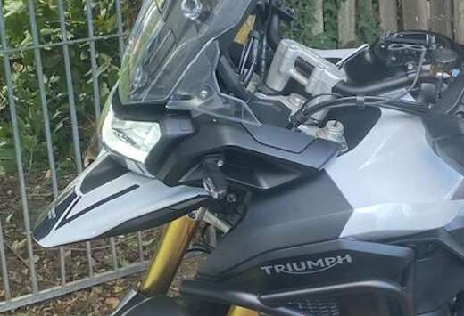 Triumph rally pro