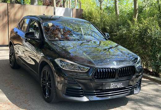 BMW 25e Full Led-Head Up-Navi Prof-Verw.Leer-Cam-19\