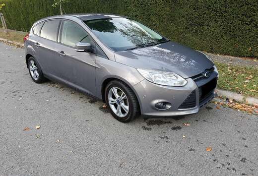 Ford 1.0 EcoBoost ECOnetic