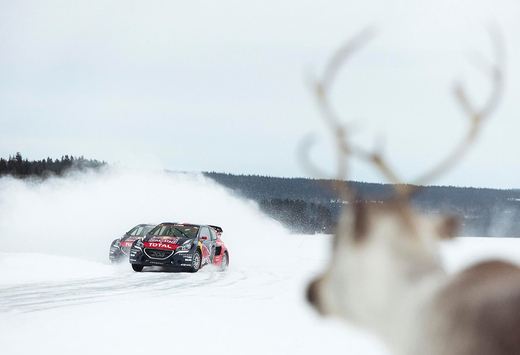 Frank Deboosere heeft het over 1 tot 5 centimeter sneeuw vandaag. Dat vraagt om een beetje voorbereiding voor wie vandaag toch de weg op moet. Sébastien Loeb toont hoe het moet.