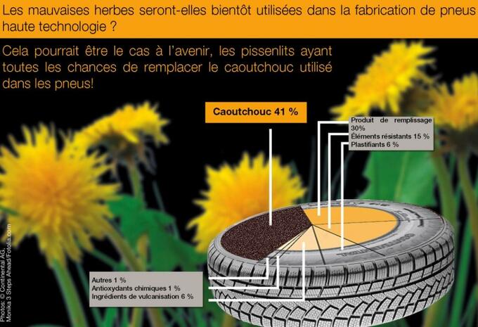 Pneus : du pissenlit au lieu de l'hévéa #2