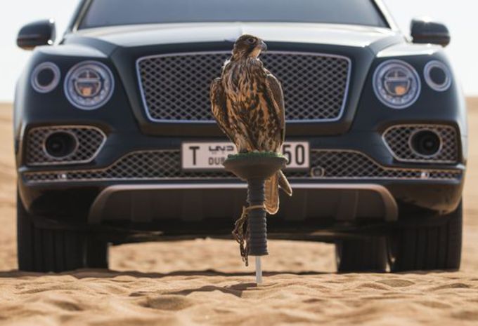 Bentley : un kit de fauconnerie dédié à la Bentayga  #1