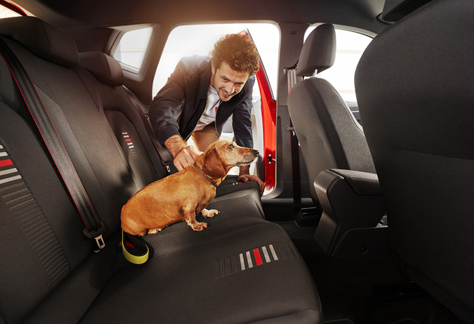 Est-on plus prudent avec un chien dans la voiture ? #1