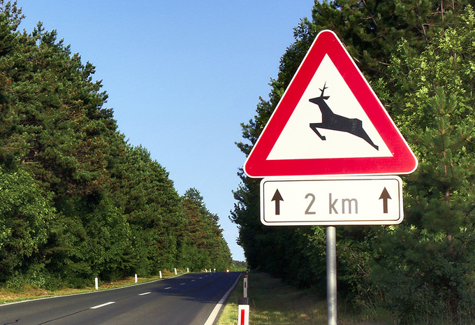 1 accident sur 3 évité grâce à la détection de gibier #1