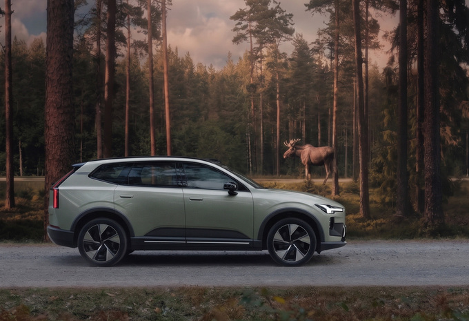 Volvo Large Animal Alert