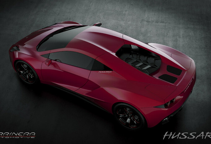 Arrinera Hussarya #4